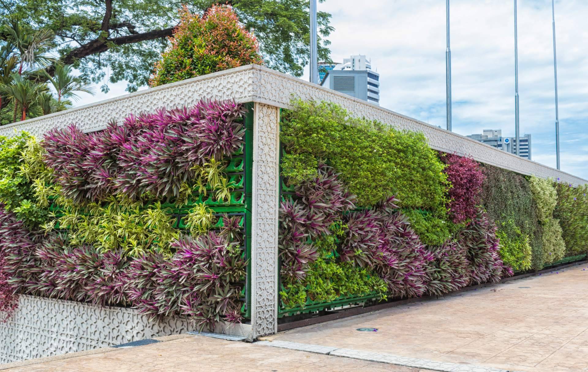Black Friday es el momento perfecto para transformar espacios con JardinVertical.es