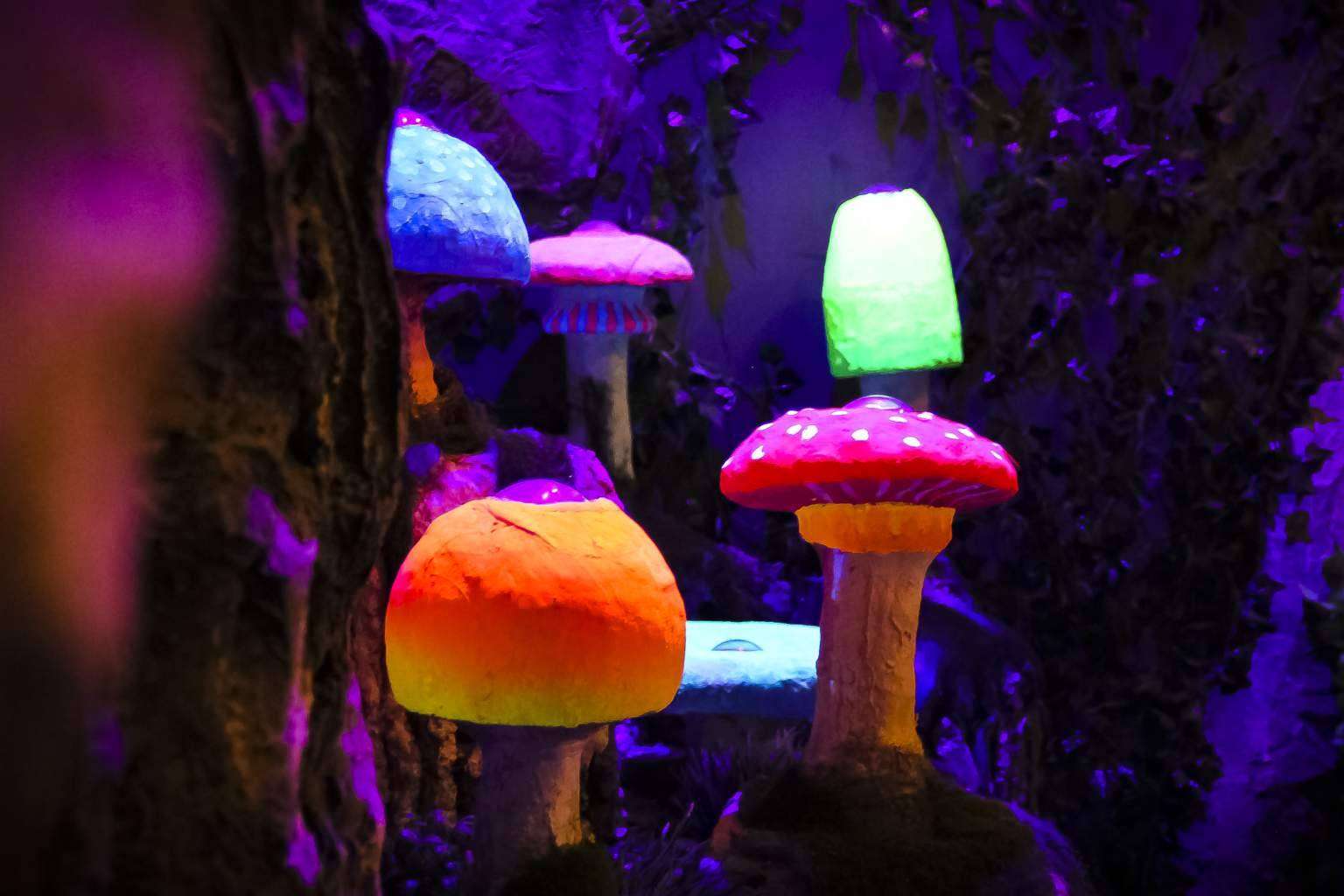 Influx Escape Games, un increíble escape room Madrid