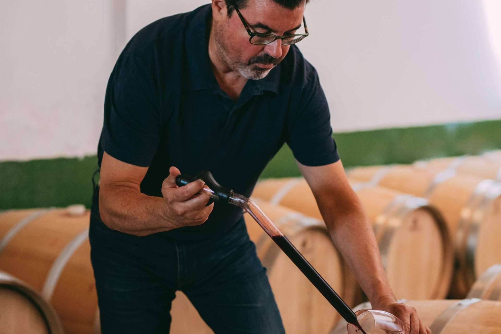 Bodegas Vegalfaro aporta una personalidad única a sus vinos con el cultivo ecológico
