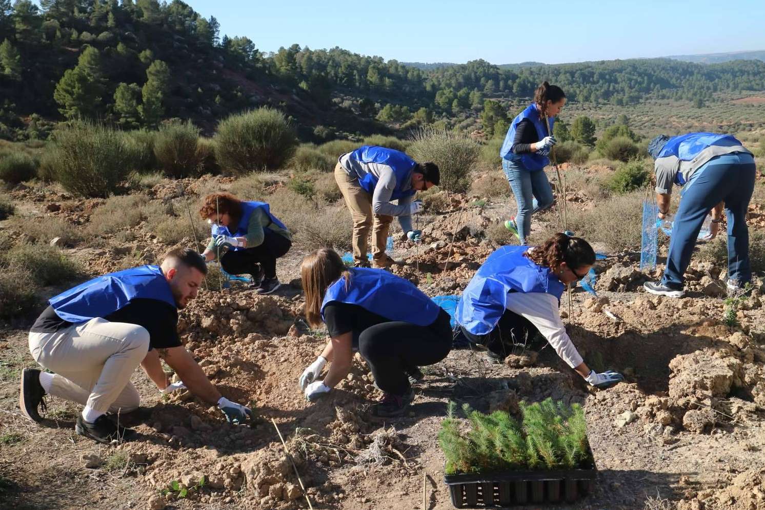 Por segundo año consecutivo, Alianza Logistics compensa su huella de carbono plantando un bosque