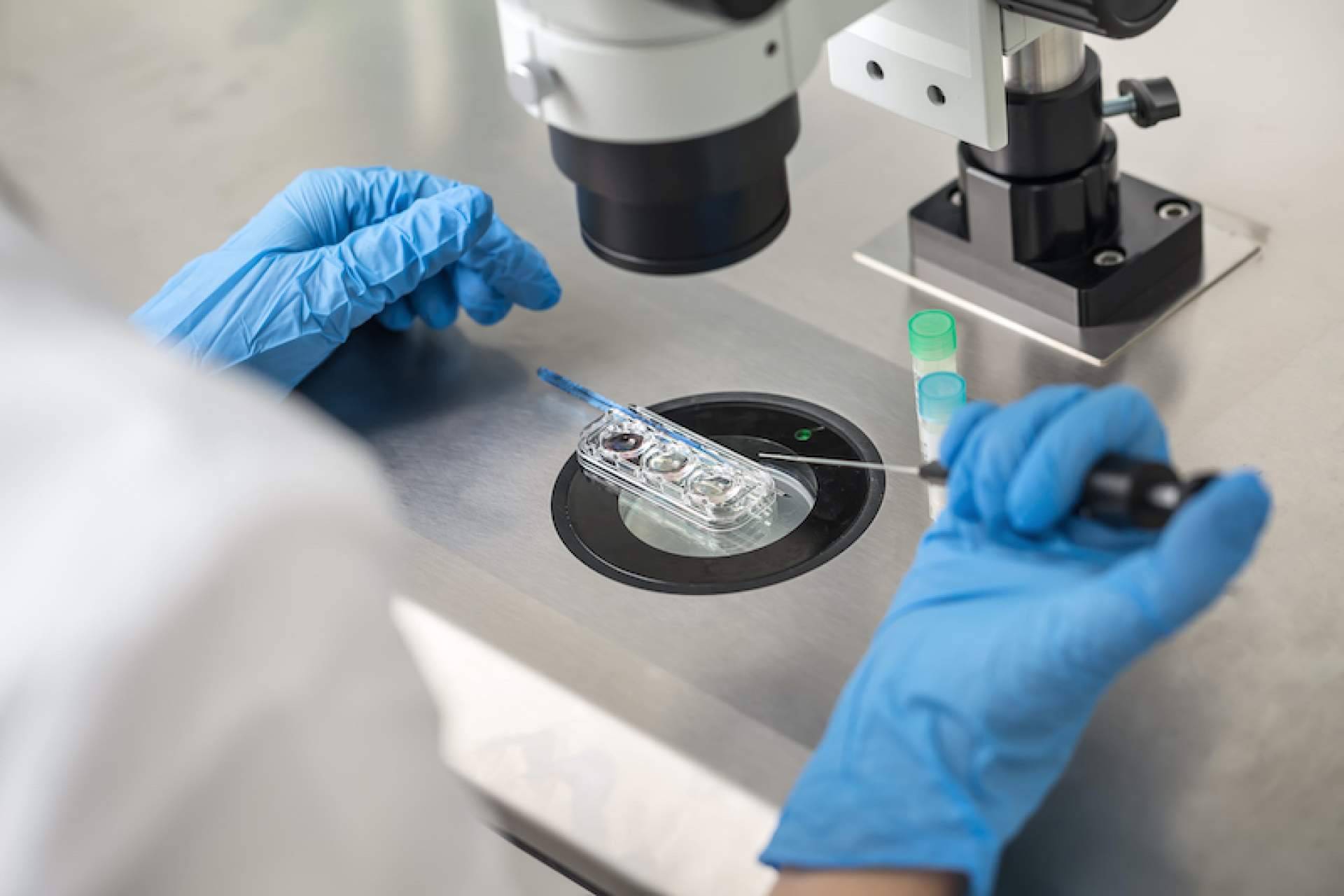 Clínica de Fertilidad Gaia realiza técnicas de reproducción asistida como inseminación artificial