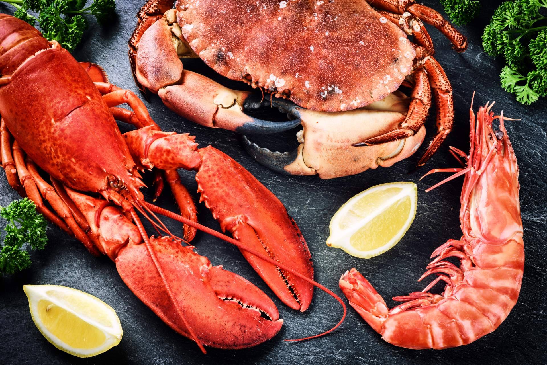 Comprar crustáceos frescos en Pescadería Younes Ceuta