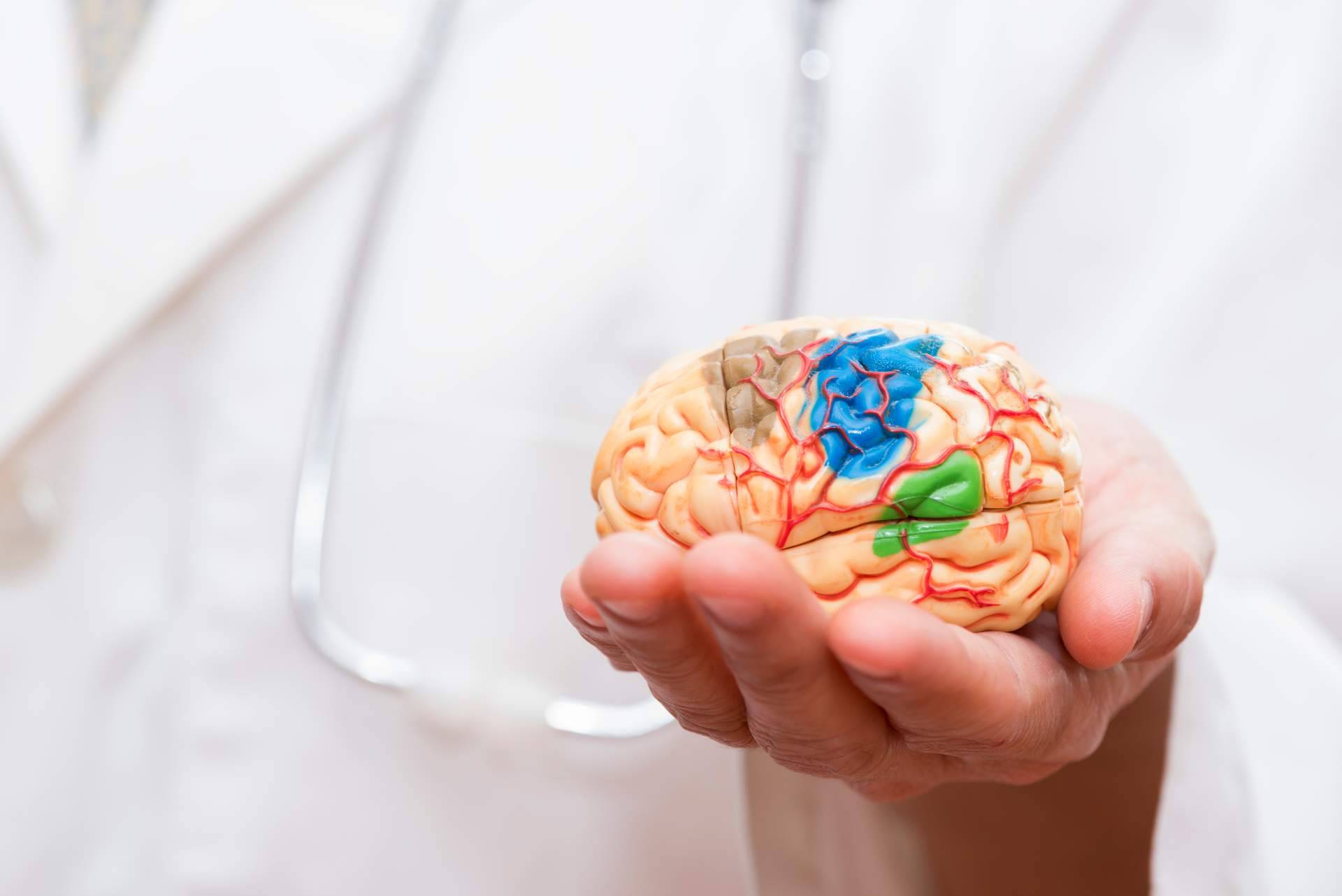 El I Congreso Internacional de Neuroatención supera por todo lo alto las expectativas que tenían los organizadores