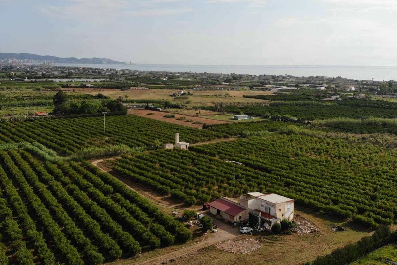 La Imperfecta presenta los zumos de granada ecológicos calidad premium