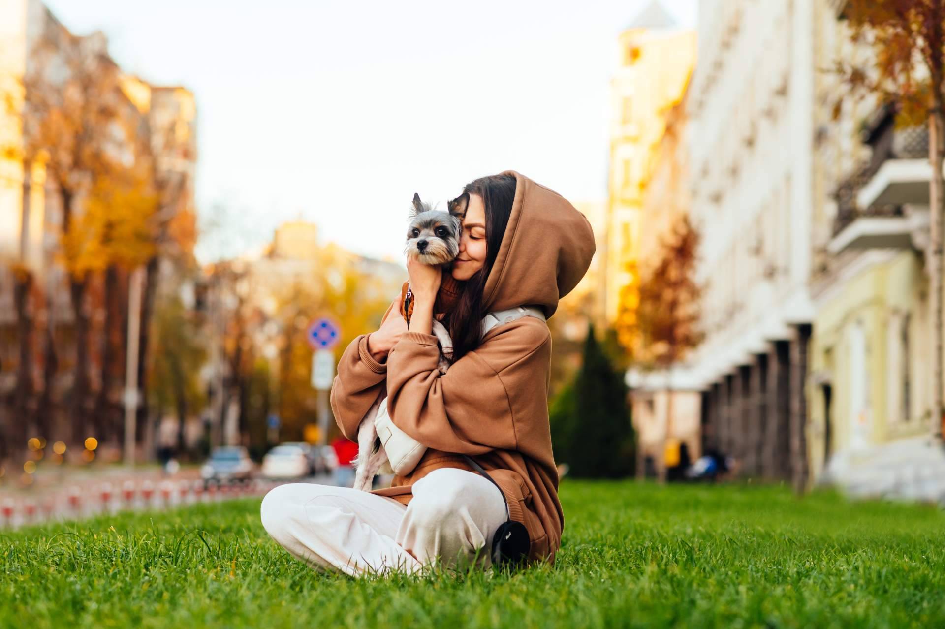 Emprender el camino a la felicidad con las increíbles becas de El Perro Feliz