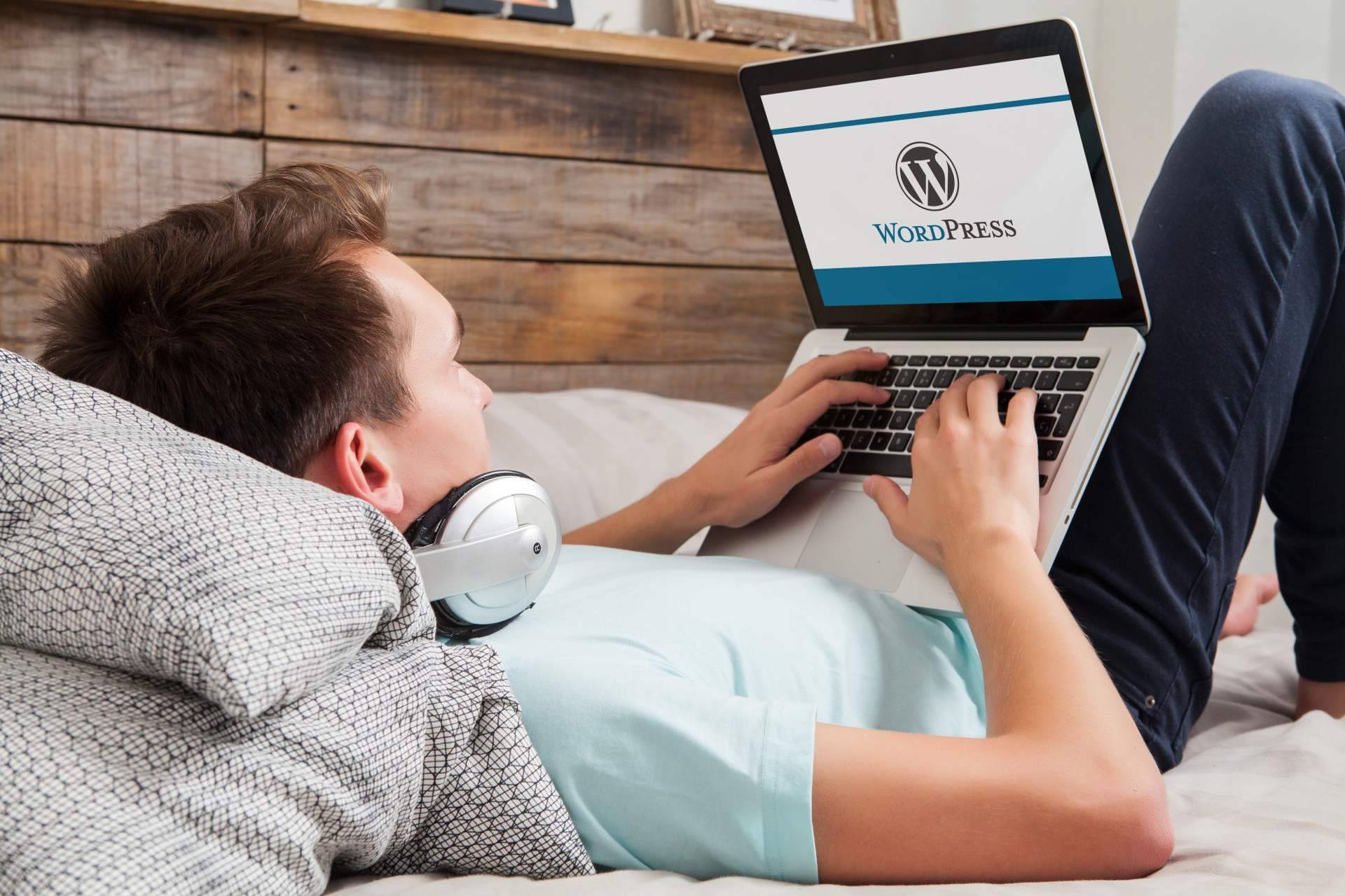 ¿Cuáles son las características que debe tener un buen diseño web WordPress?, según Borja Aranda Vaquero