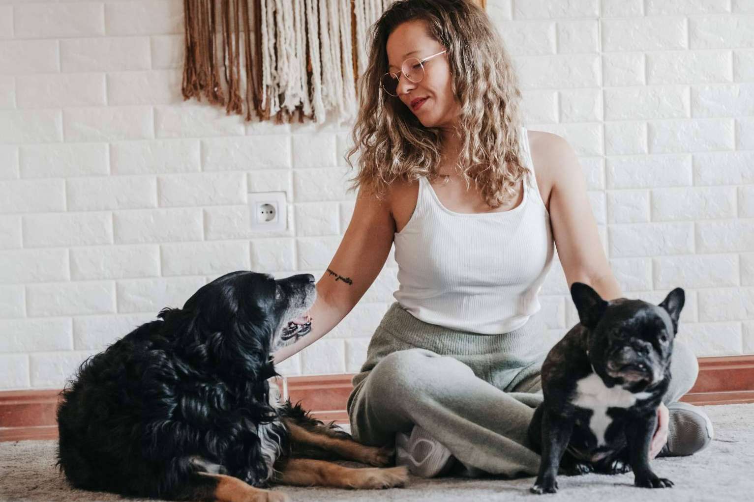 Terapia emocional para perros, de la mano de Mery Calvo