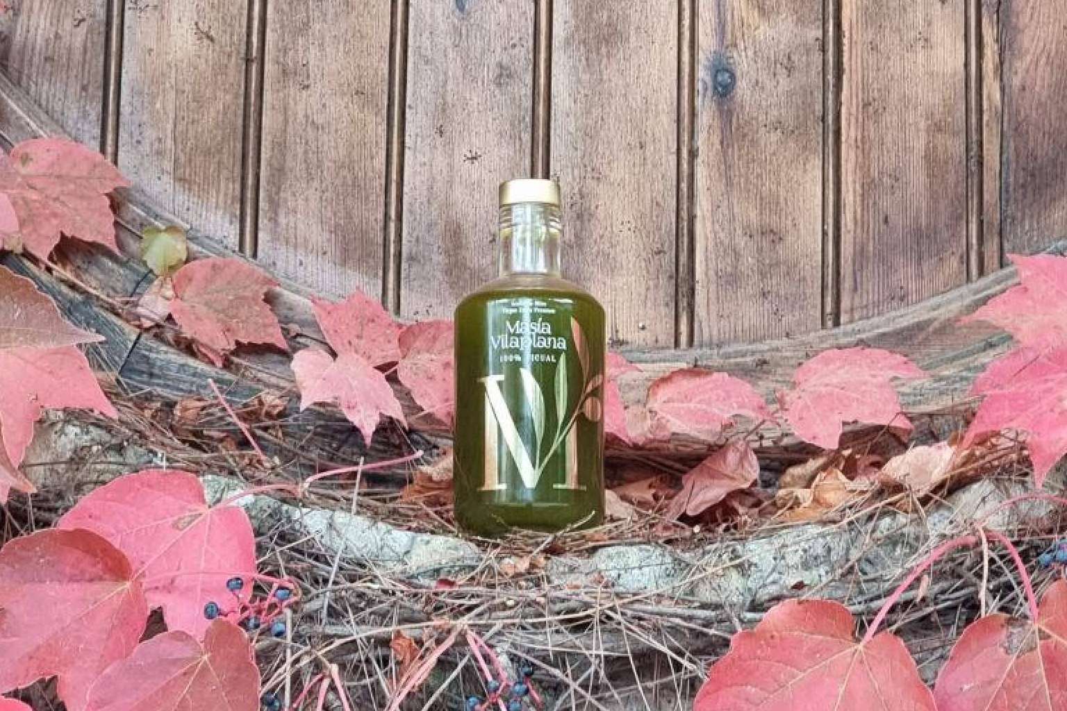 La finca Masía Vilaplana produce aceite de oliva virgen extra