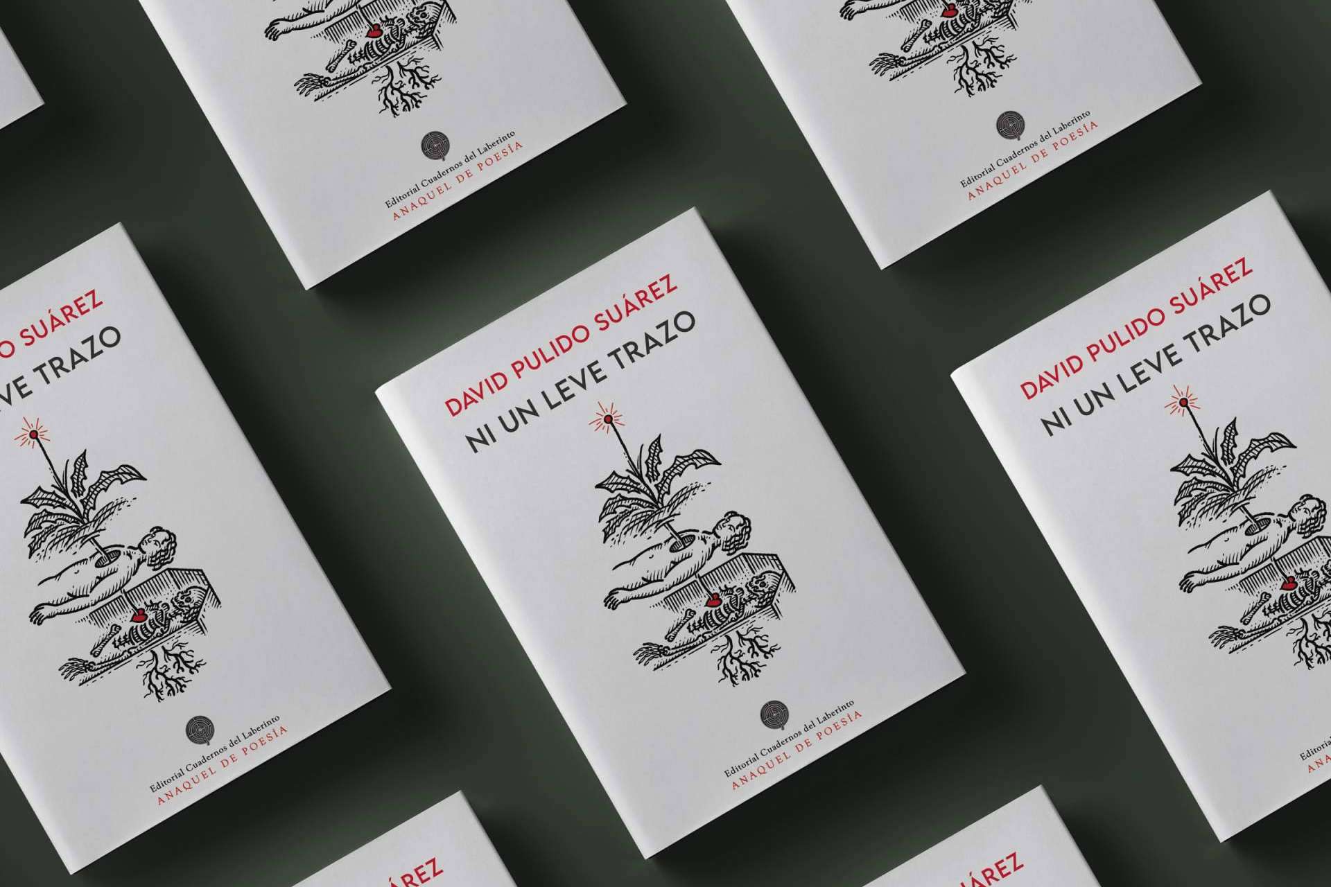 El poeta canario David Pulido sorprende con su nuevo libro ‘Ni un leve trazo’, literatura de altura