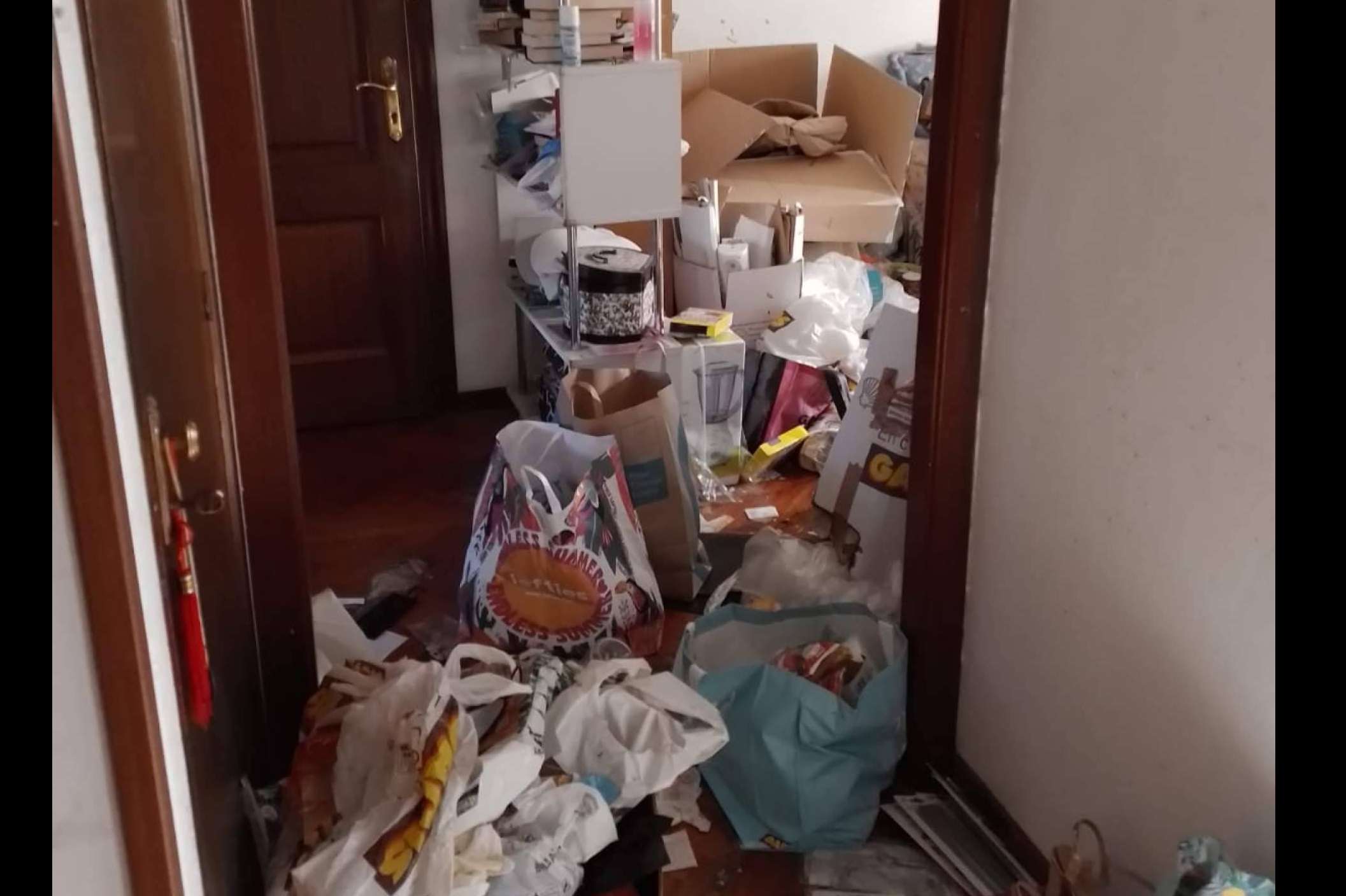 Cientos de kilos de basura, cero miedo; el día a día de los limpiadores extremos