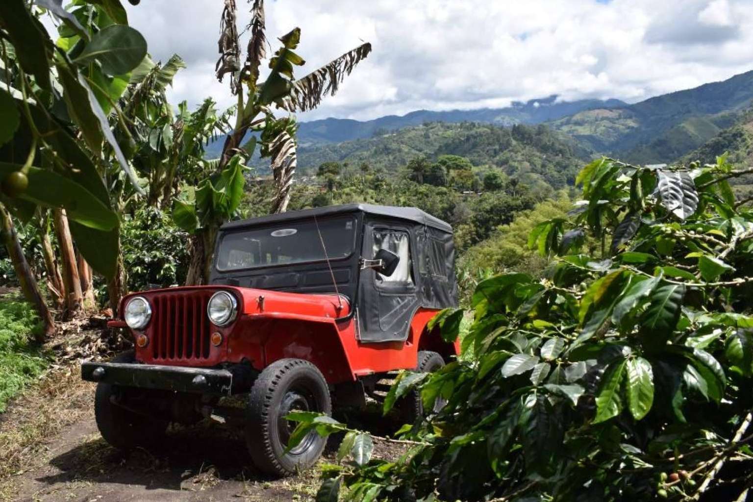 Viajes a Colombia desde España, de la mano de Transfers & Tours Colombia