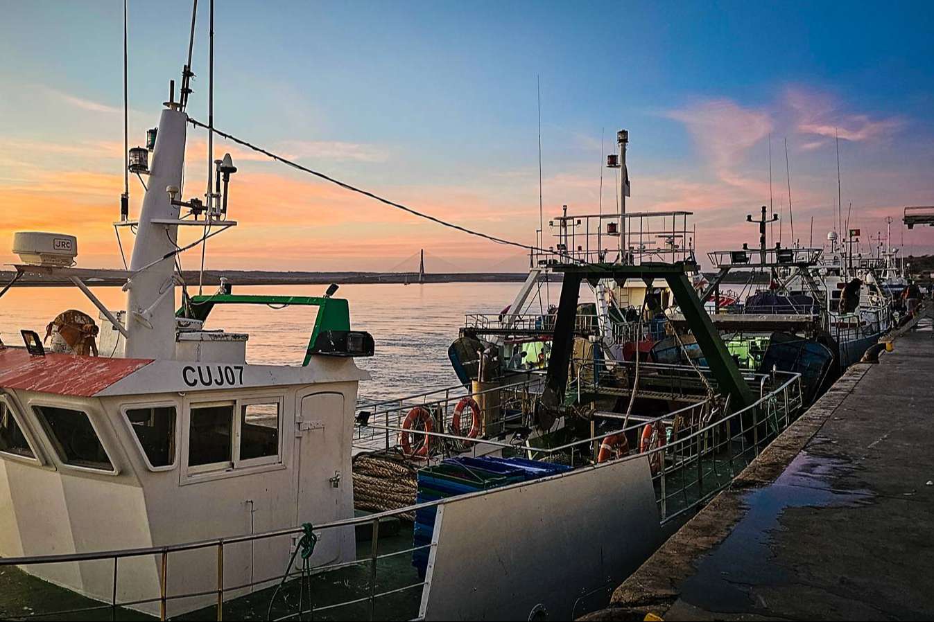 Venta de pescado y marisco fresco a toda España con Lonja de Ayamonte