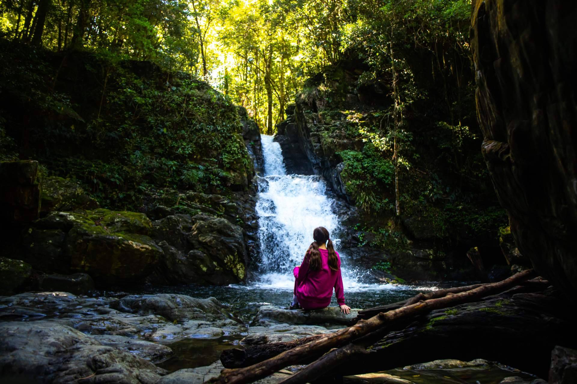 Baños de Bosque Madrid, una herramienta eficaz de salud y bienestar en el trabajo