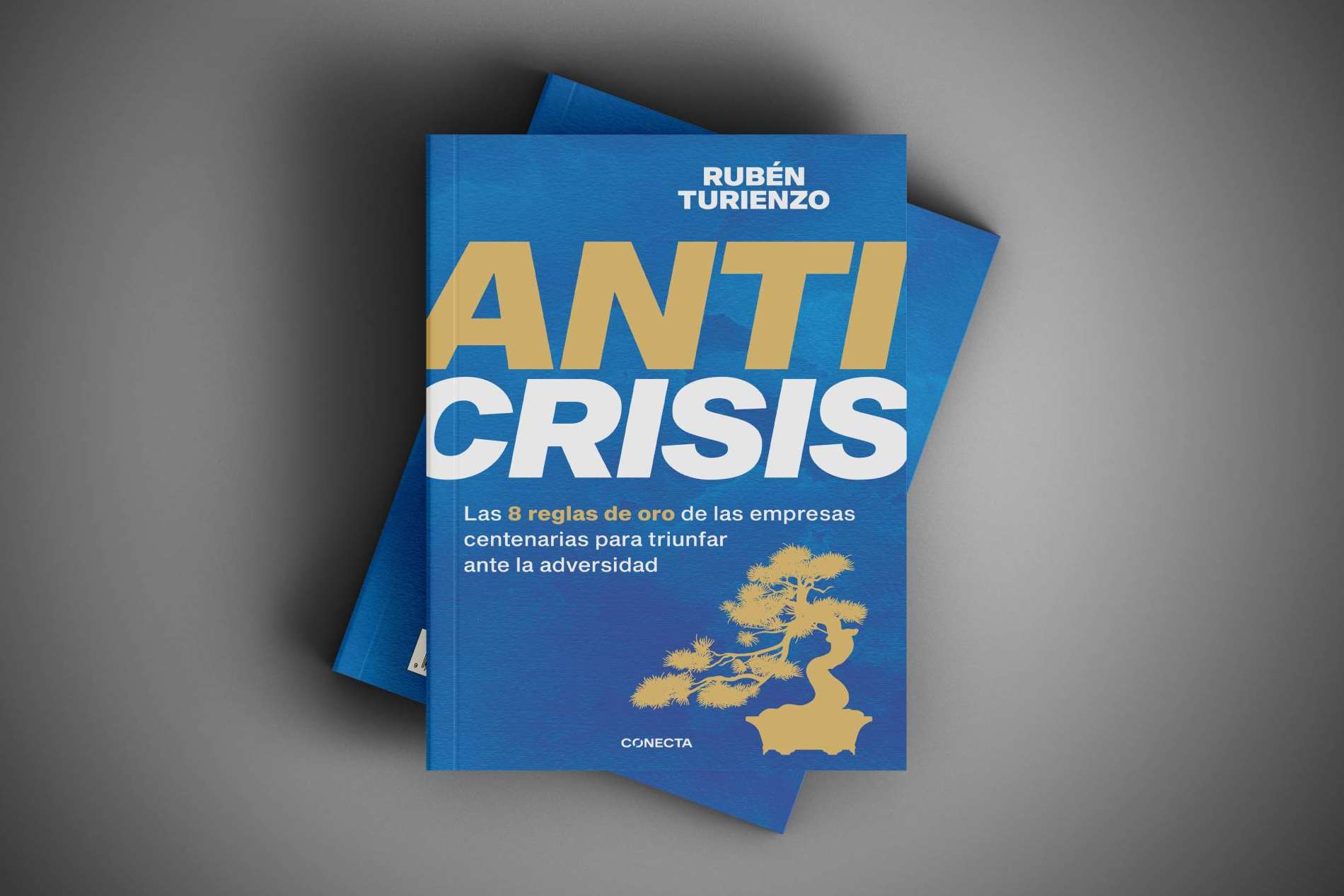 El libro 'Anticrisis' revoluciona la mirada empresarial con una investigación de las empresas más longevas del mundo