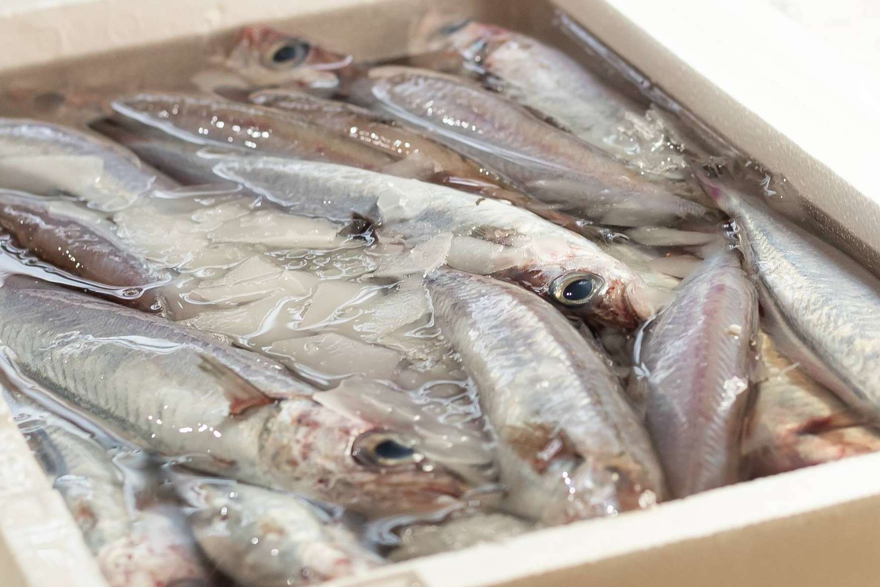 Con la venta de pescados y mariscos online, Lonja de Ayamonte aporta frescura y calidad