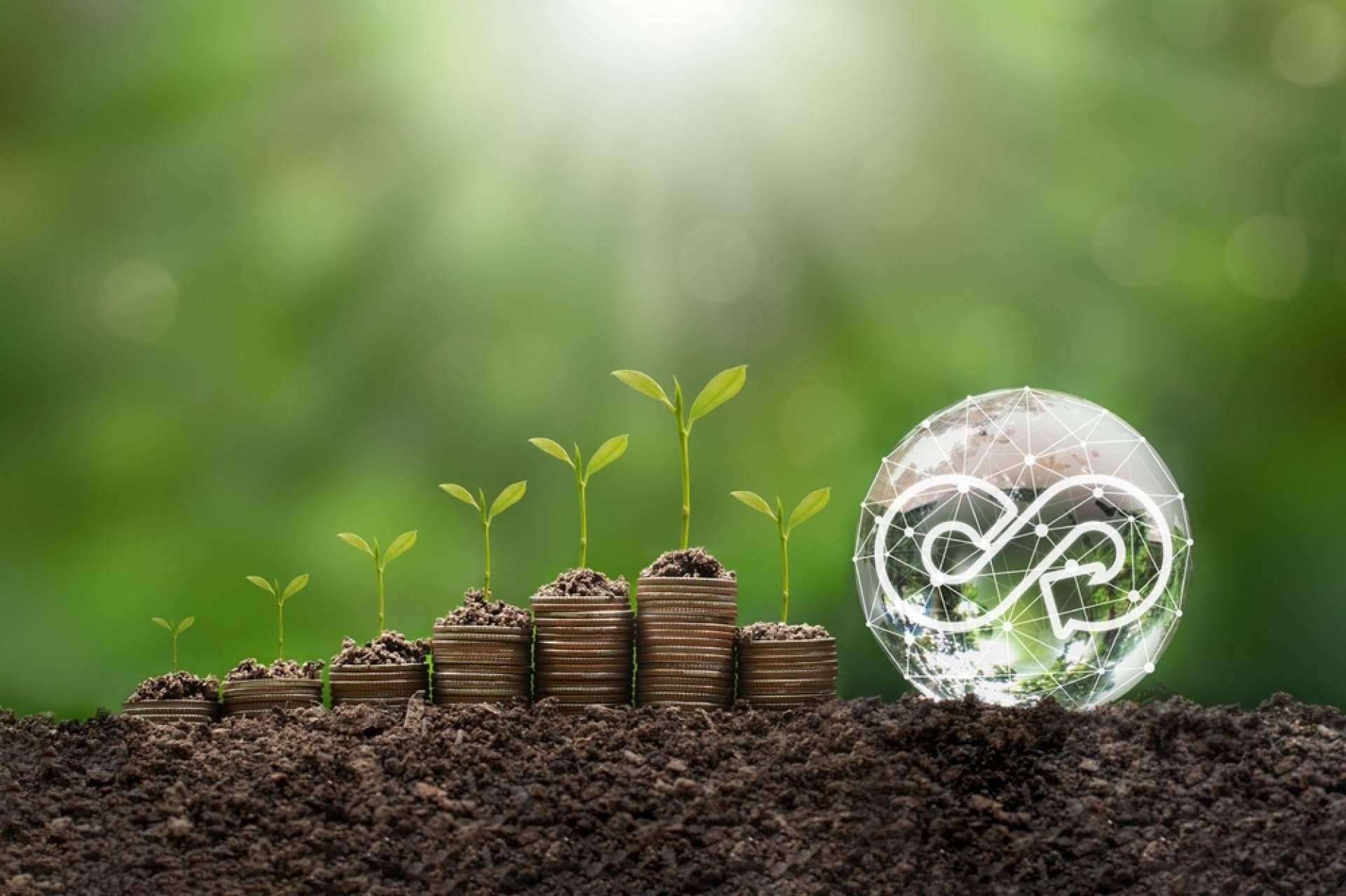 Ahorrar en la factura de la luz es posible de la mano de Ahorro Direct