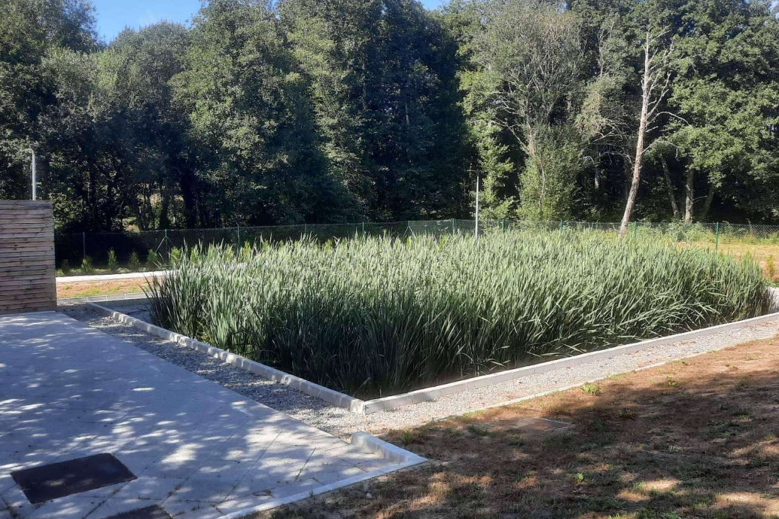 Los humedales, una alternativa medioambiental de reciclaje de aguas residuales, GoldProjects
