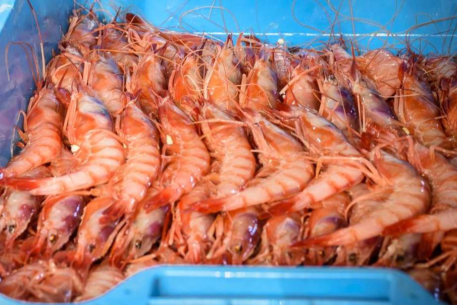Lonja de Ayamonte permite adquirir pescado y marisco fresco de calidad