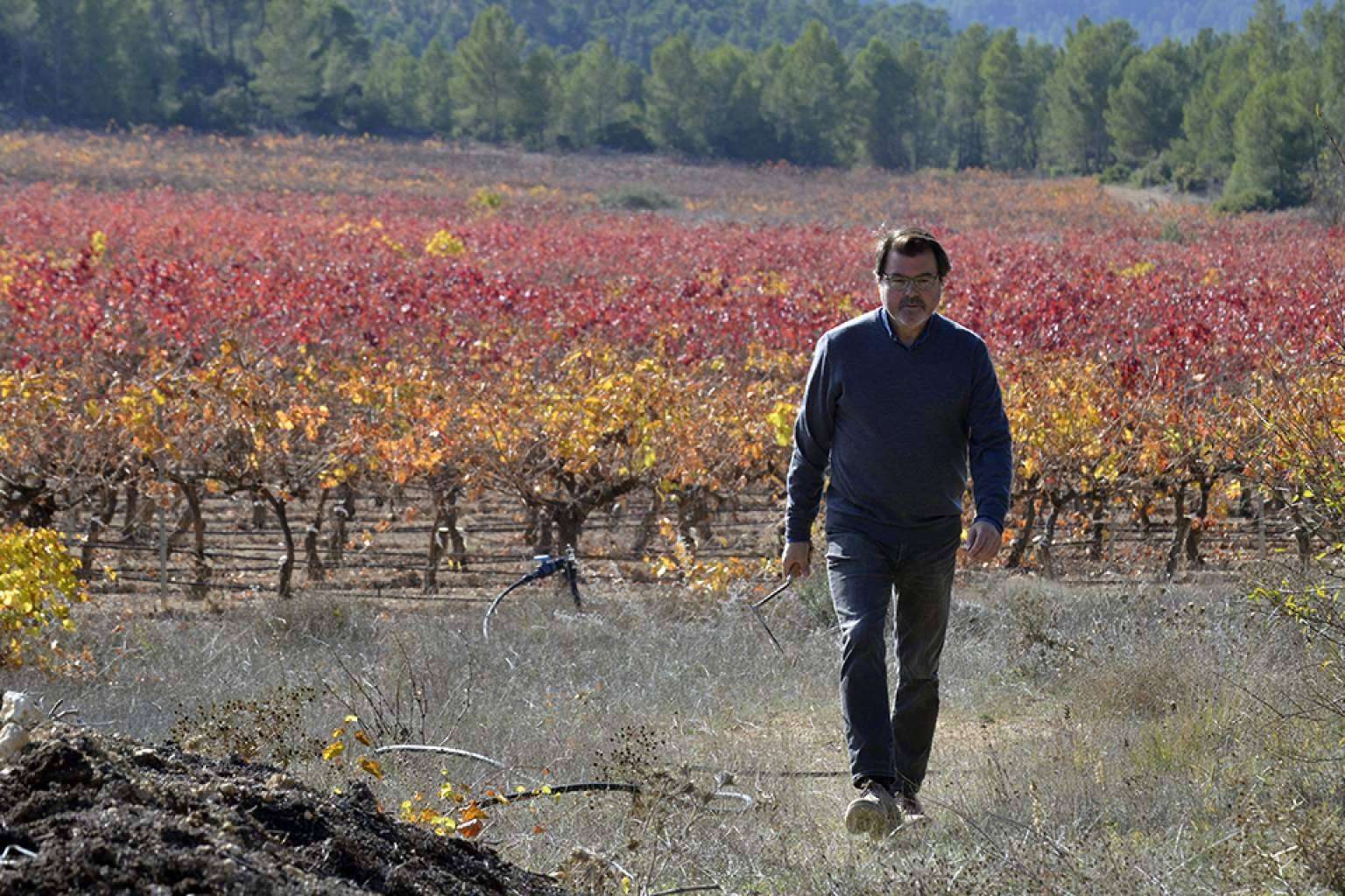 Los vinos de Bodegas Vegalfaro han sido galardonados en múltiples concursos internacionales