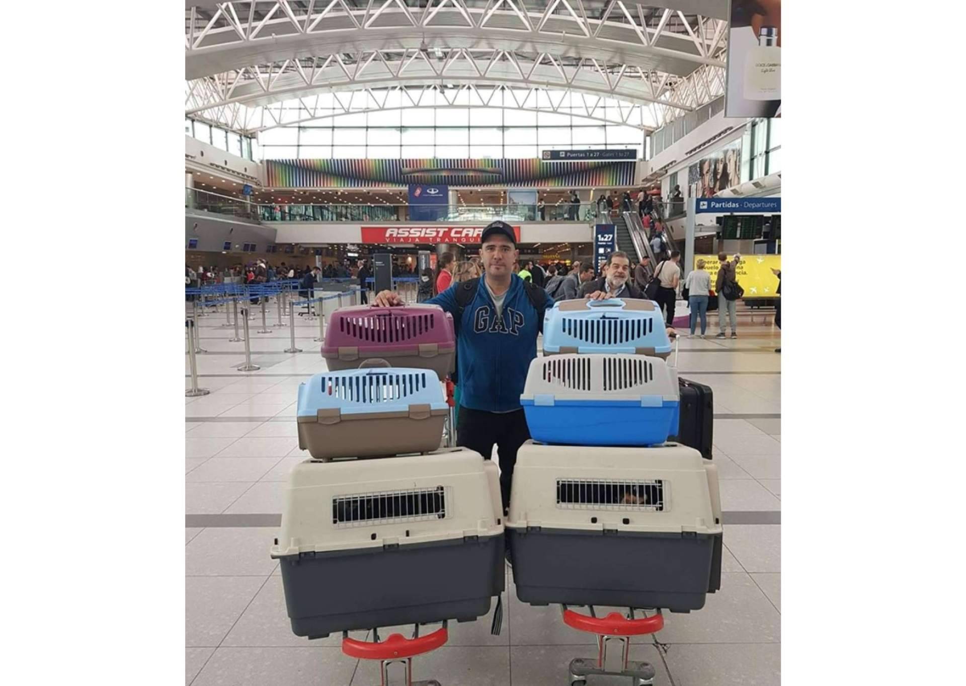 Pet World Travel, una solución en el transporte de mascotas a nivel nacional e internacional