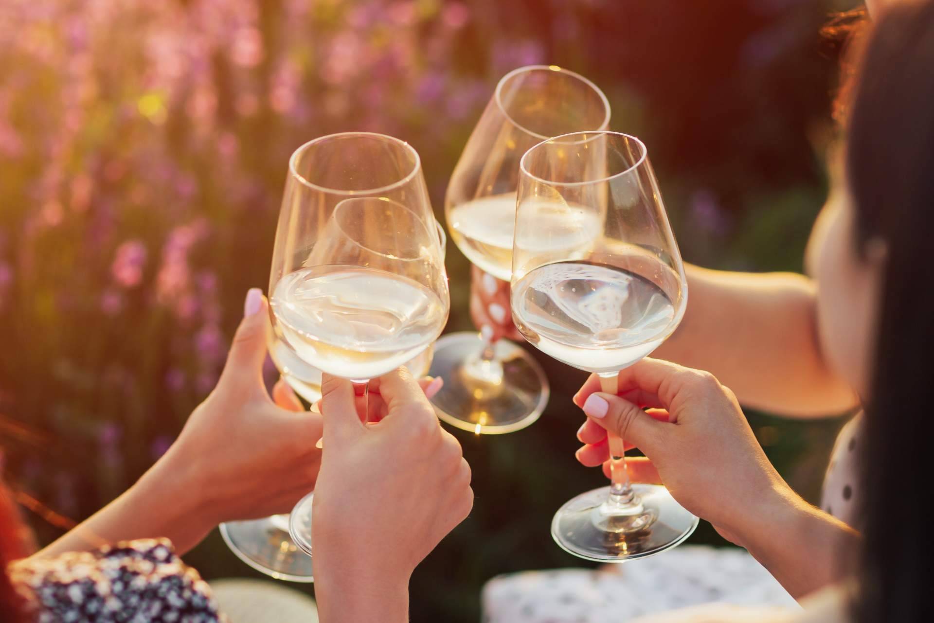 Vinos con denominación de origen en el catálogo de Difersa & Primavinia