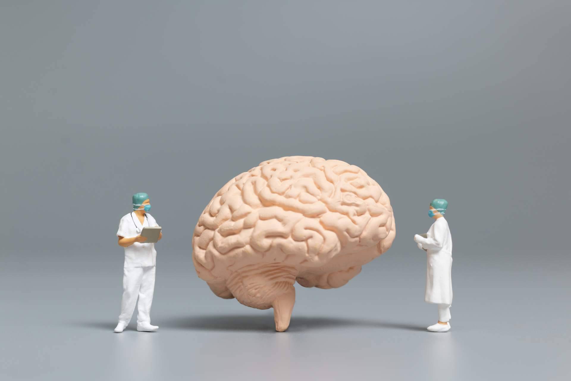 Bibefy y sus soluciones naturales para la memoria