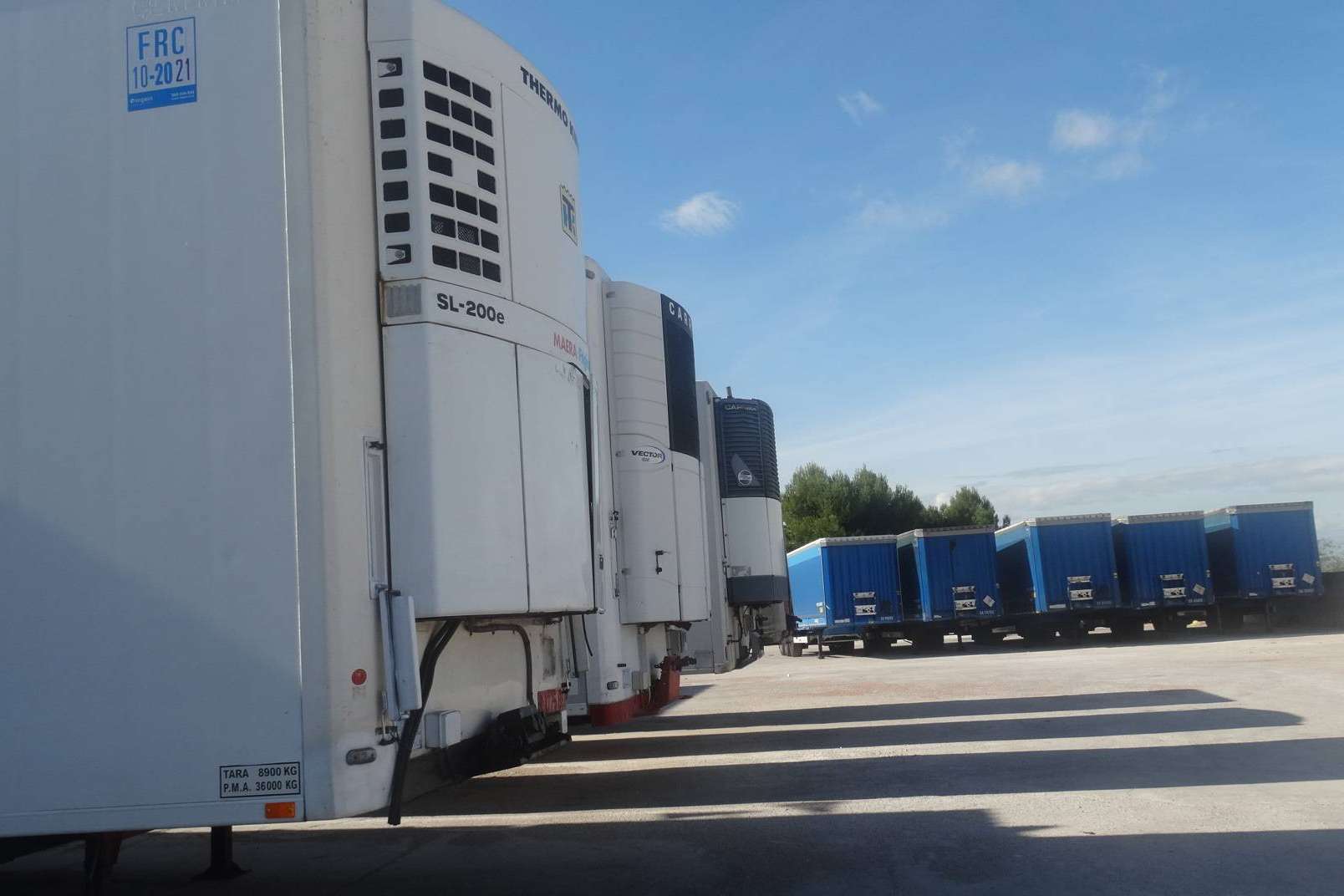 Alicotrans, la cooperativa diferente