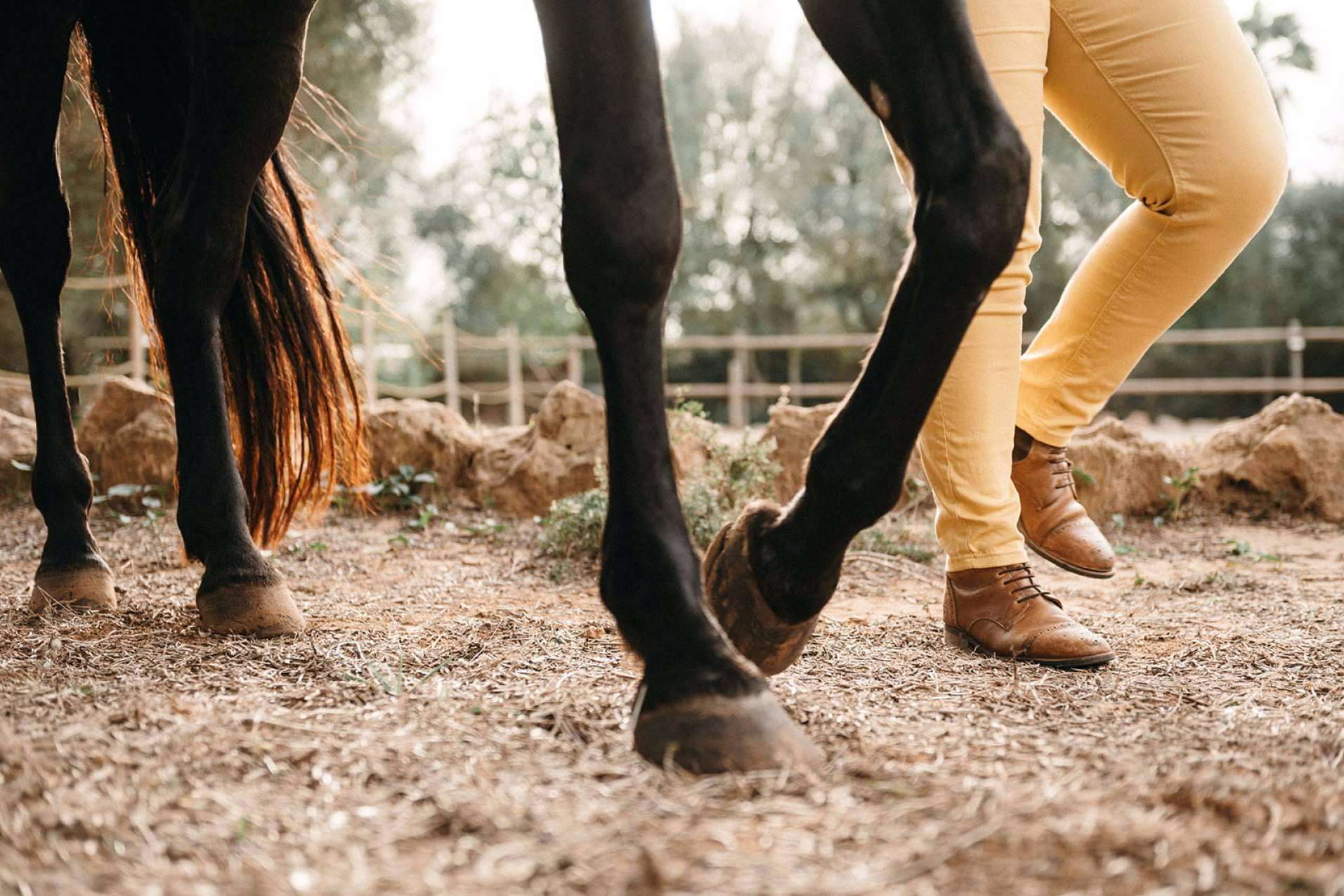 Son Cavalls, desarrollo personal a medida