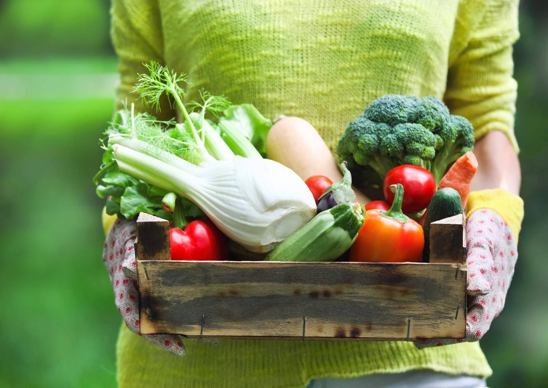 Horta de l'Eixample, una plataforma para comprar fruta online que trabaja con certificación ecológica
