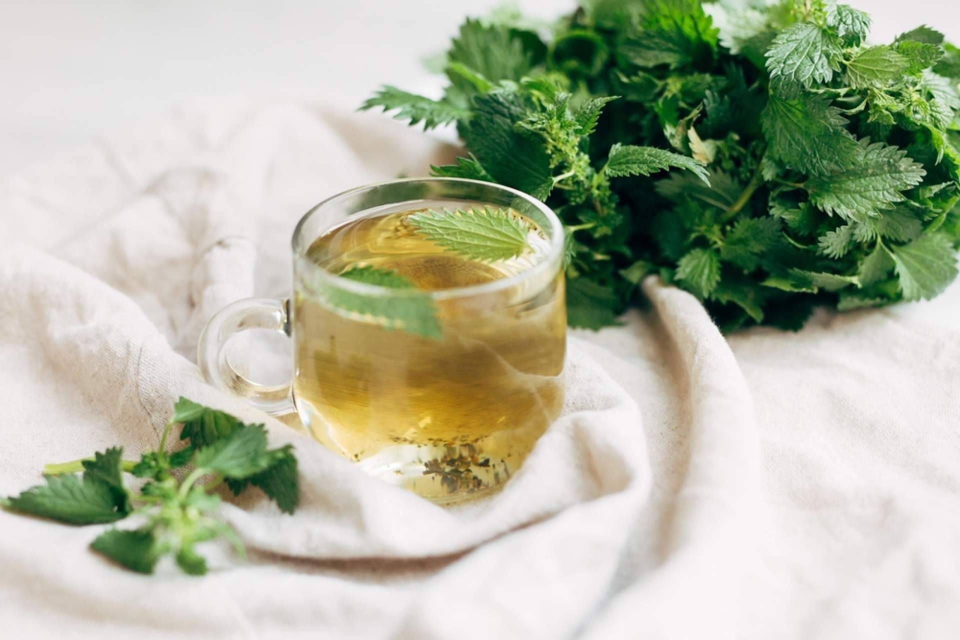 ¿Dónde encontrar una infusión de ortiga ecológica que aporta energía y buenas vibras? WOW de Sientea