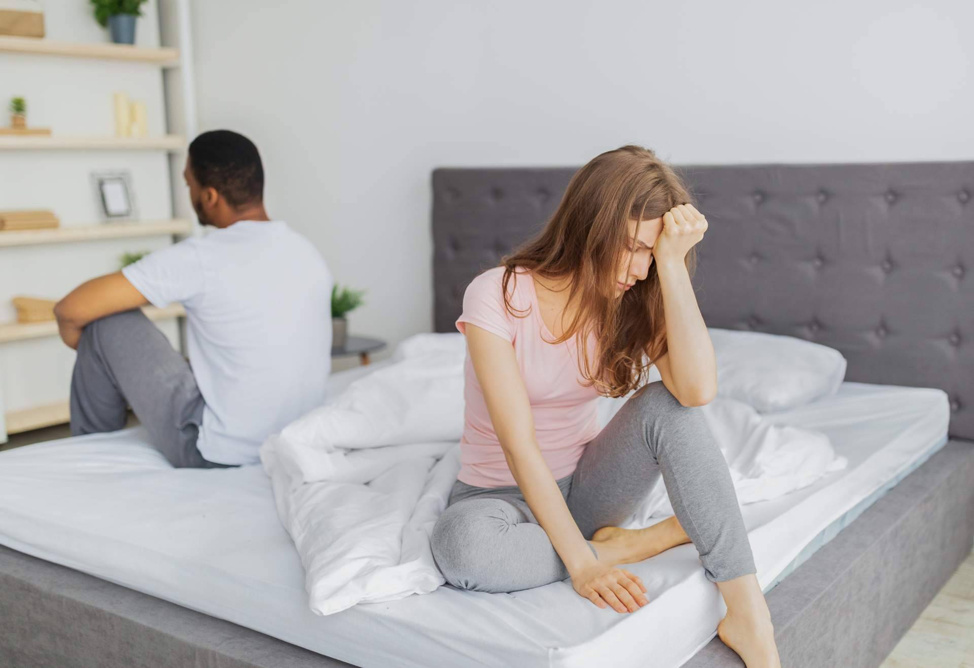 Divorcios y mascotas, el dilema legal y emocional de su custodia
