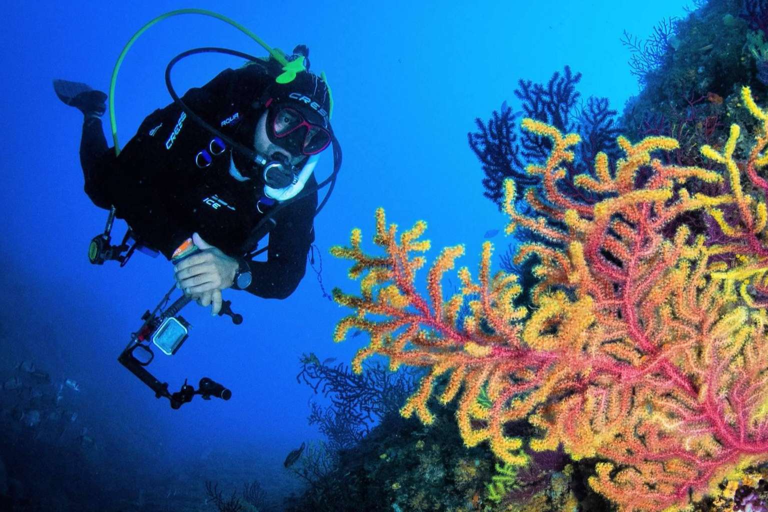Convertirse en instructor de buceo PADI, de la mano de Miguel Coll