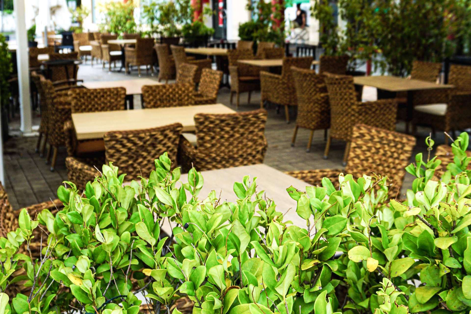 La Rotonda de Rivas, un oasis gastronómico para todos los gustos en Rivas Vaciamadrid