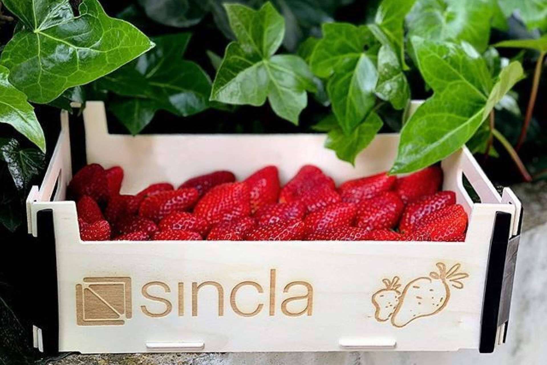 Cajas sin tapa, mucho más que simples cajas de madera