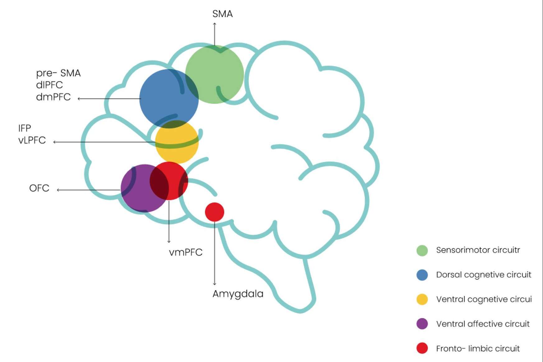 Innovador método de estimulación magnética