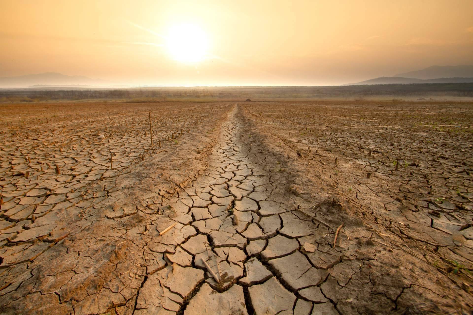 El Metaforum del Clima; La asamblea ciudadana jovenque quiere cambiar la legislación climática