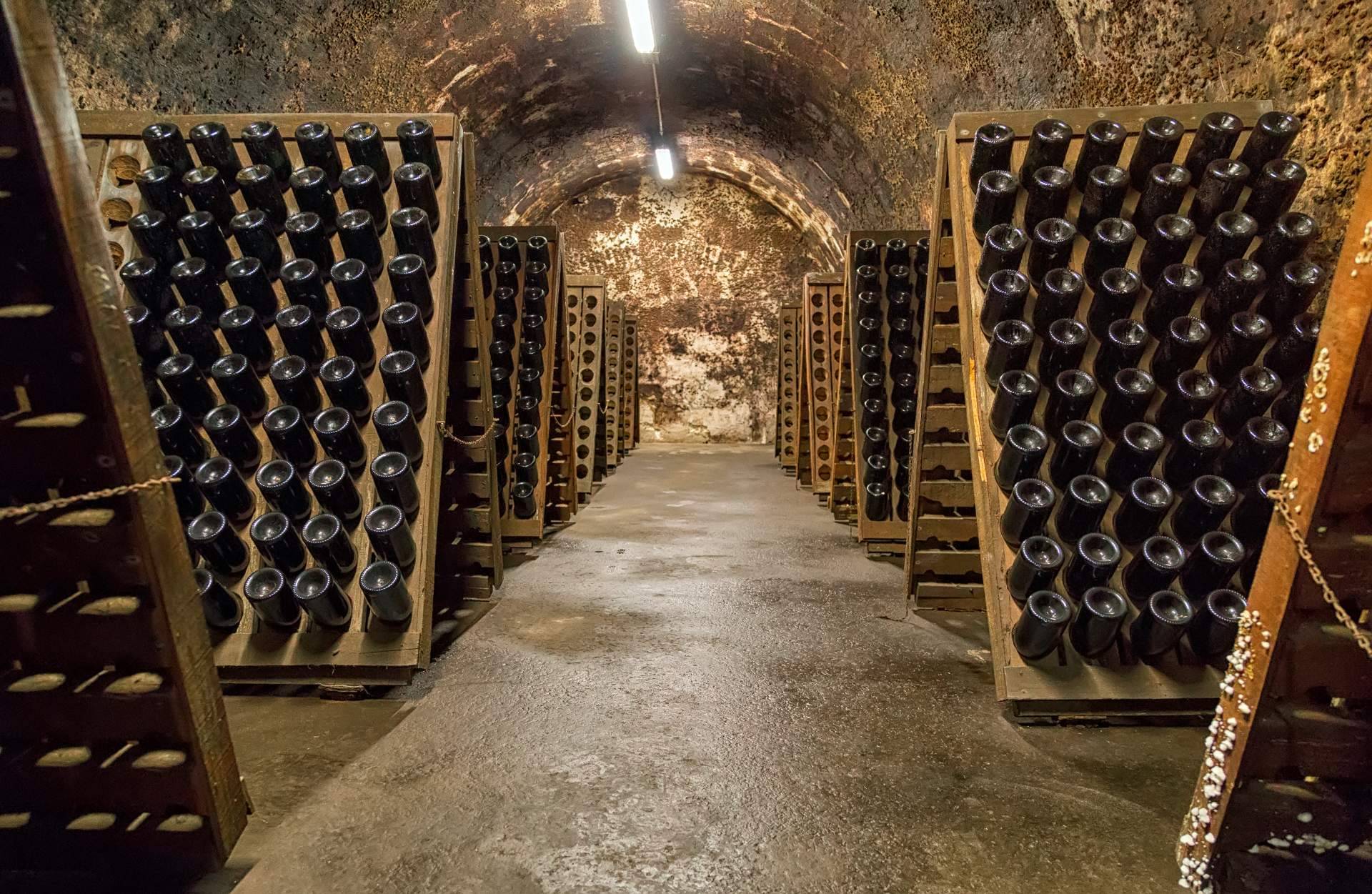 Naturelovers Wines impulsa la sostenibilidad con vinos ecológicos de alta calidad