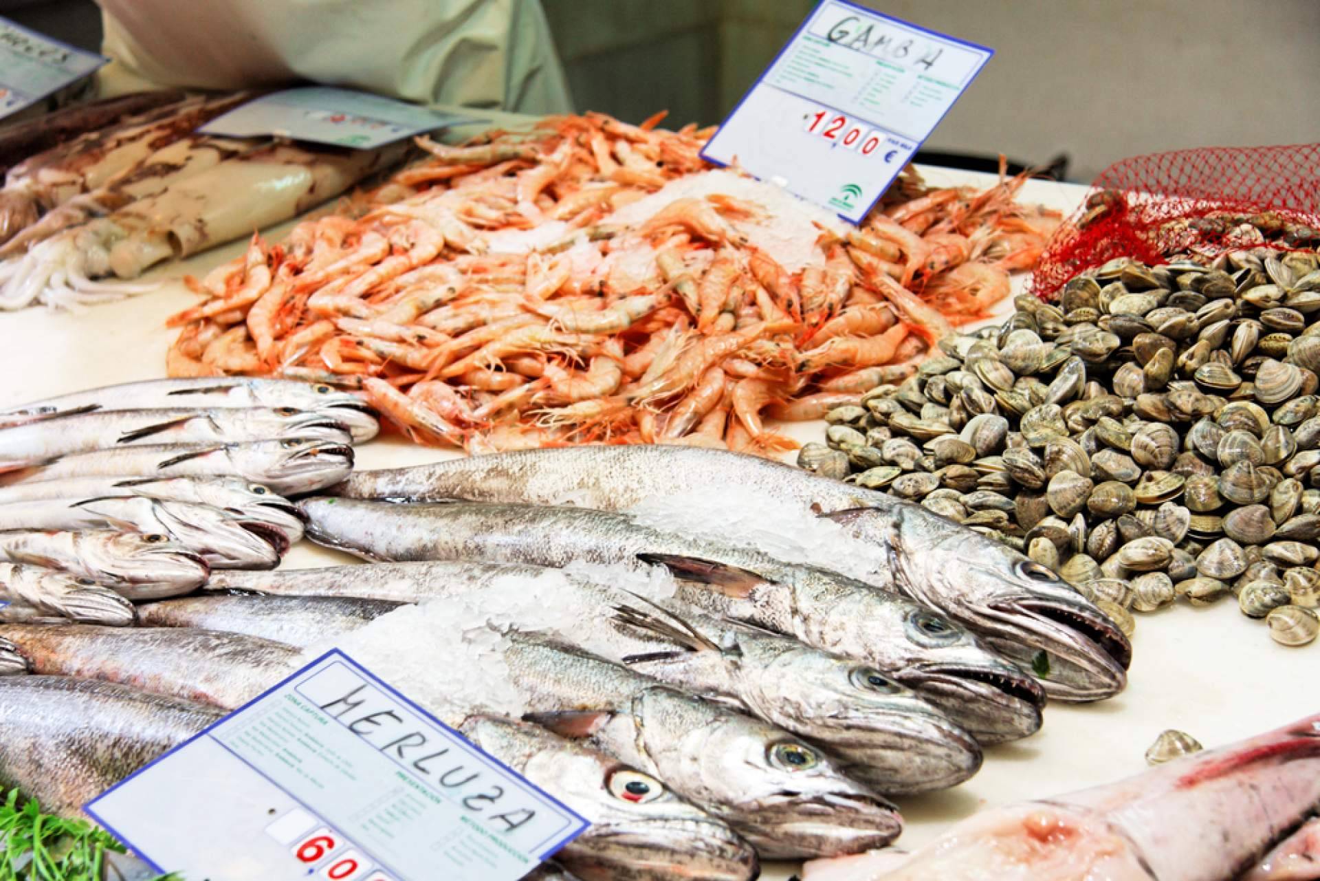 Pescadería Younes Ceuta, frescura y calidad en cada producto del mar