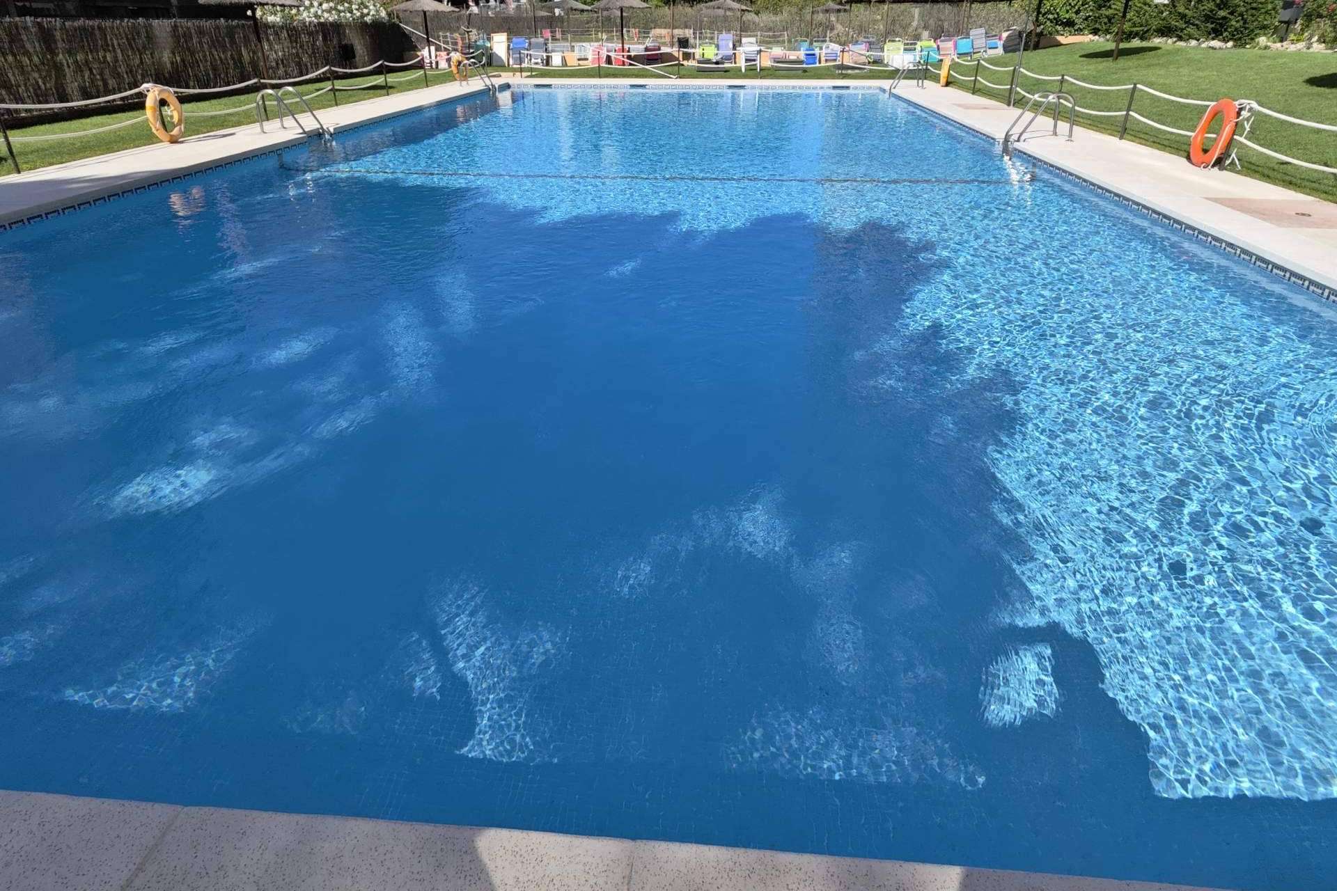 PoolTiger, innovación sostenible para reducir cloro en el mantenimiento de piscinas