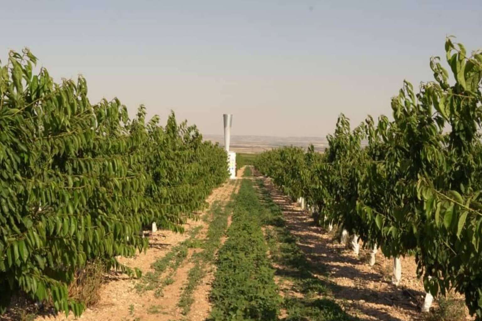 El clamor de los agricultores; Nace ANSAS como defensa del sistema antigranizo que es criminalizado