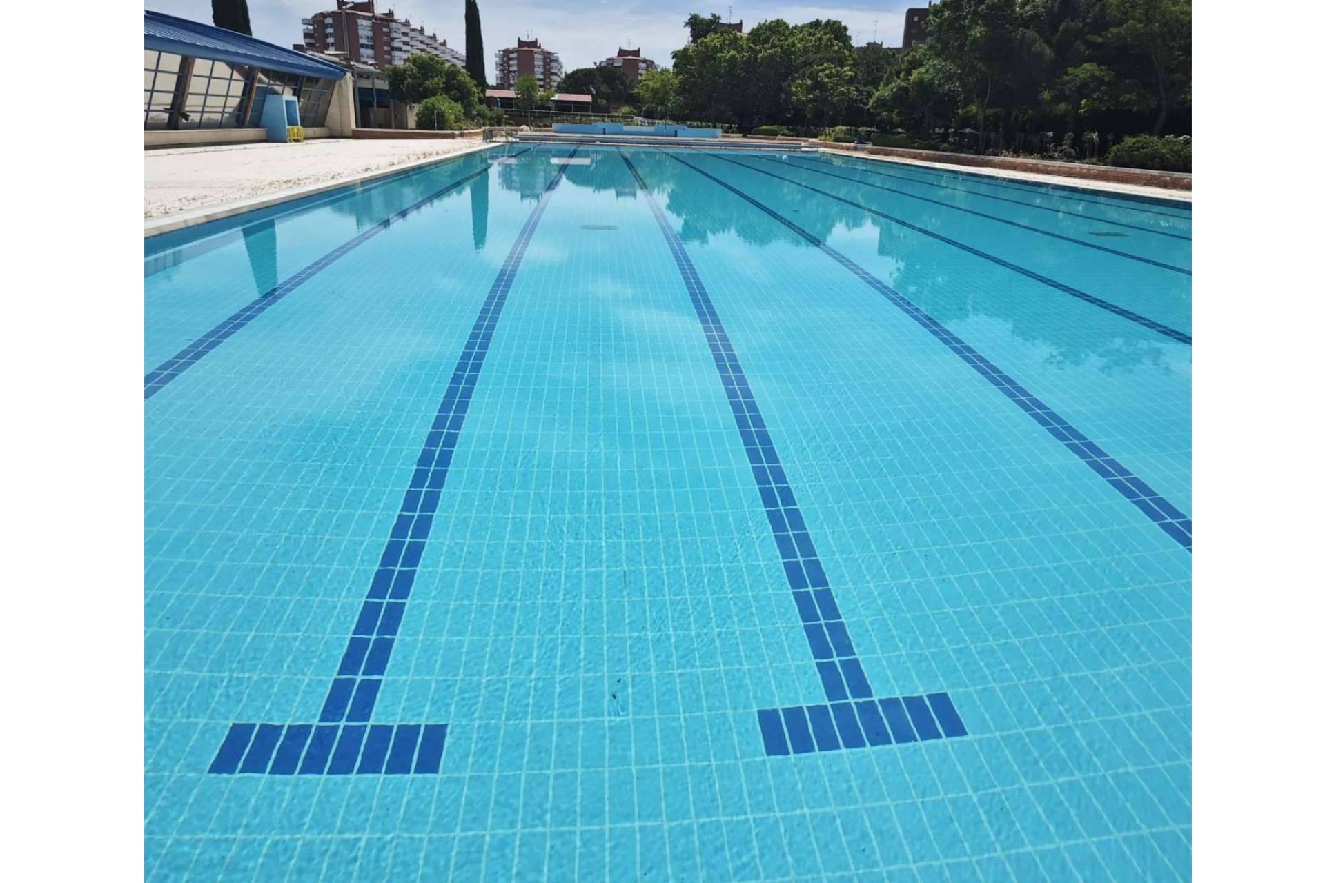 POOL TIGER EUROPE revoluciona la purificación de piscinas con tecnología sin químicos