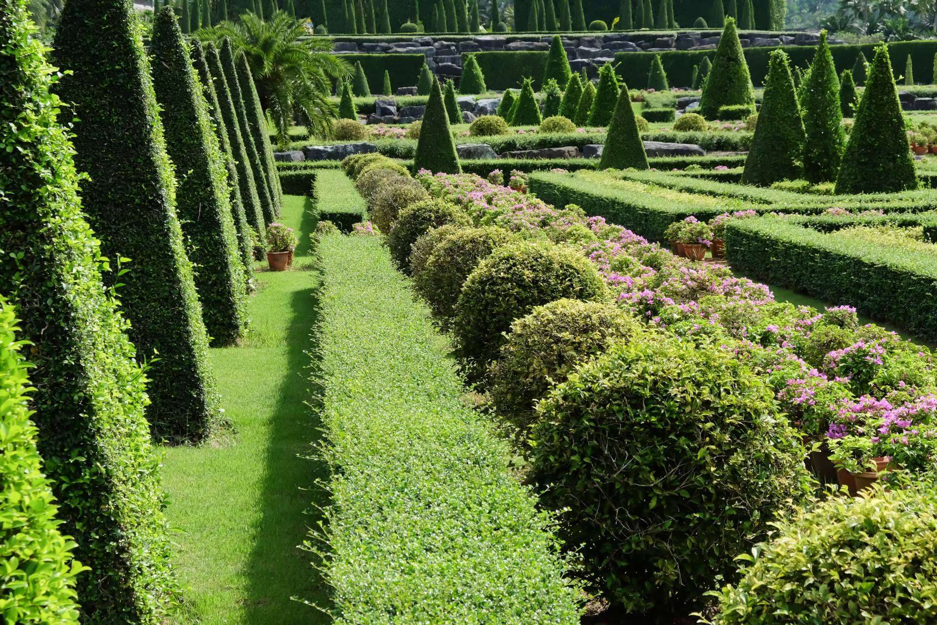 Redescubriendo el valor de los espacios verdes; servicios de jardinería en Barcelona