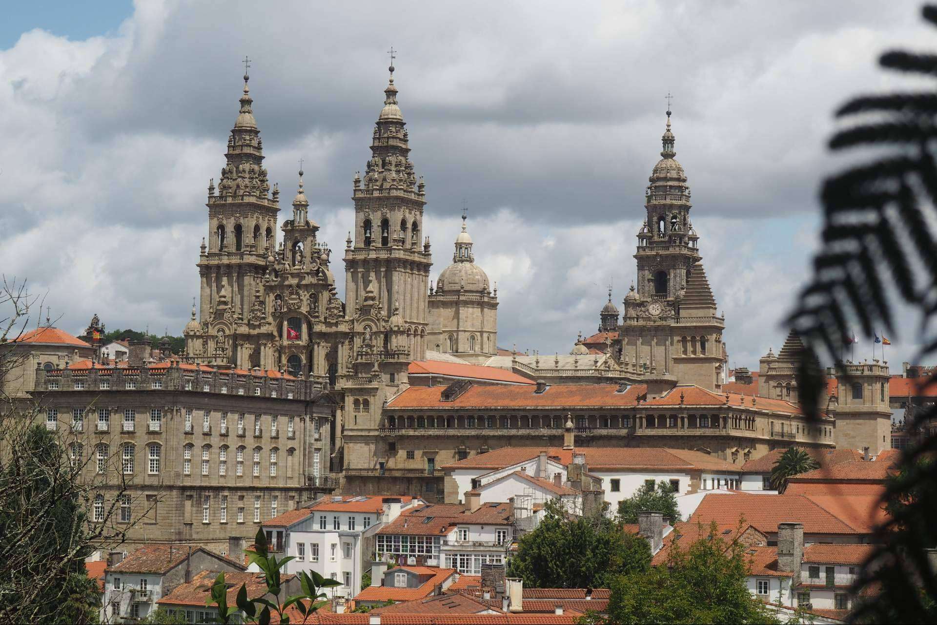 Camino de Santiago en grupo Organizado