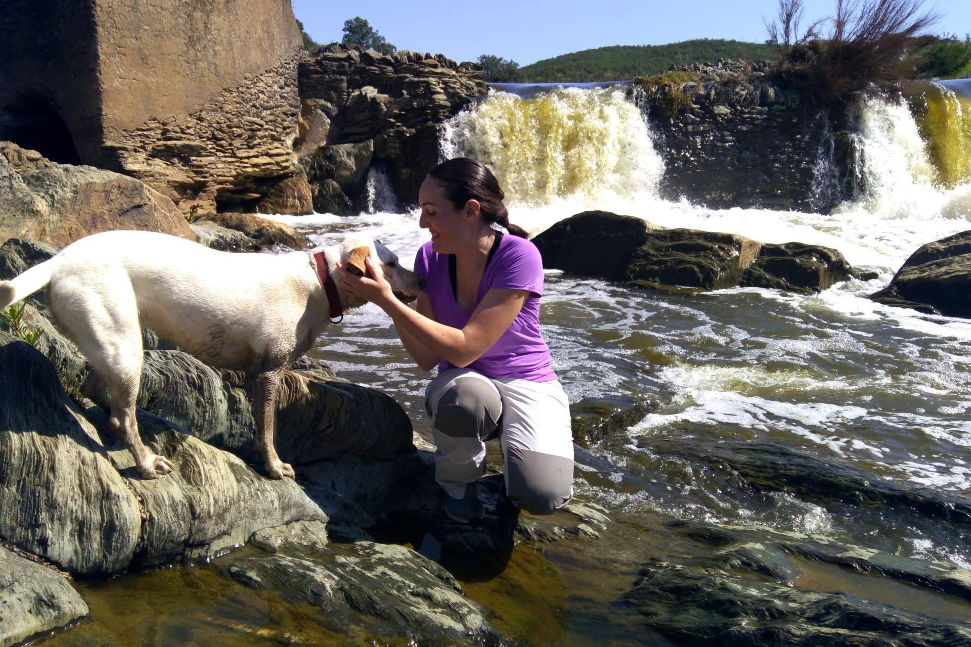 Extremadura con perro; zonas de baño dog-friendly y turismo pet-friendly en auge