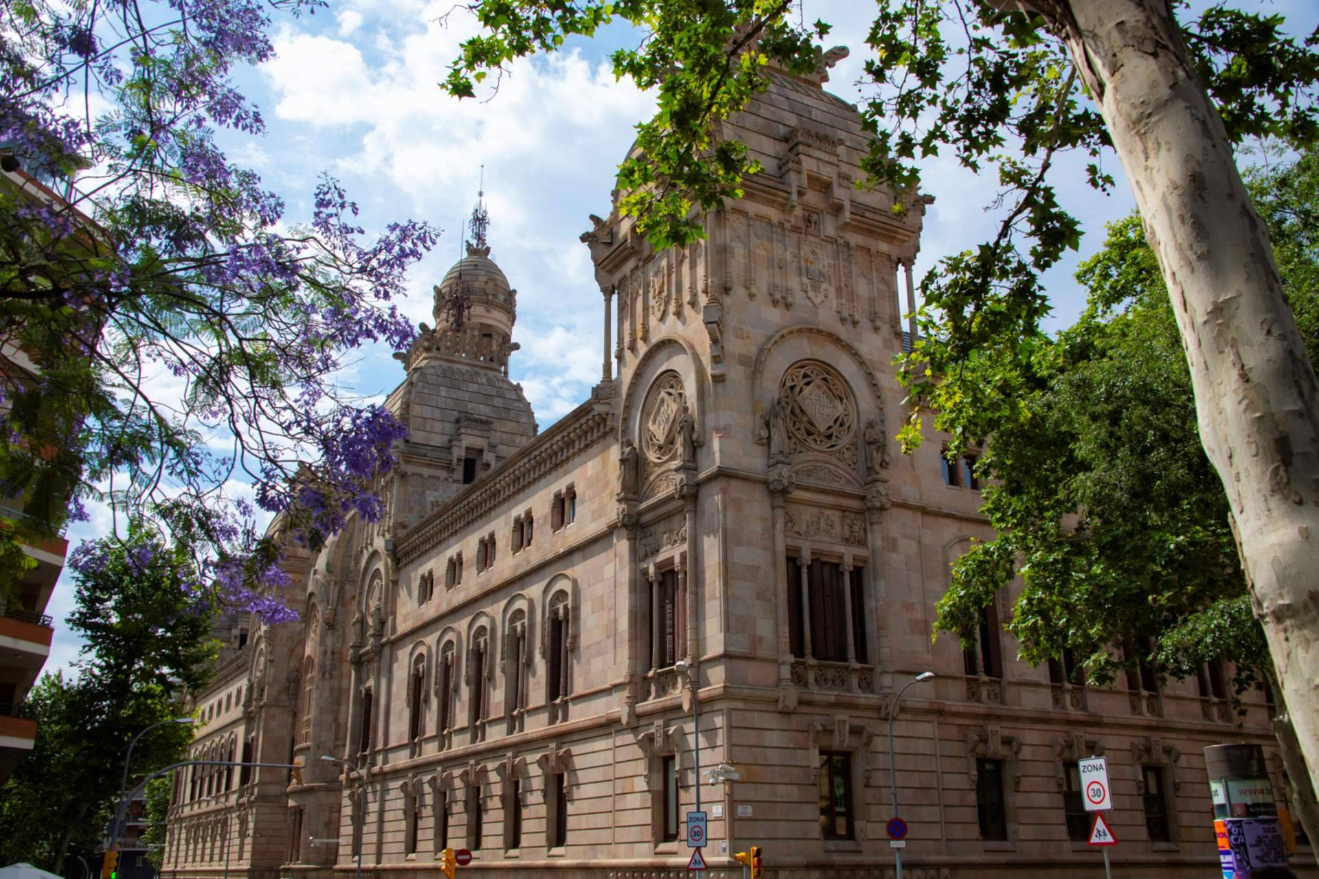 HALLON obtiene respaldo judicial para seguir consignando derechos de autor conforme a la Ley