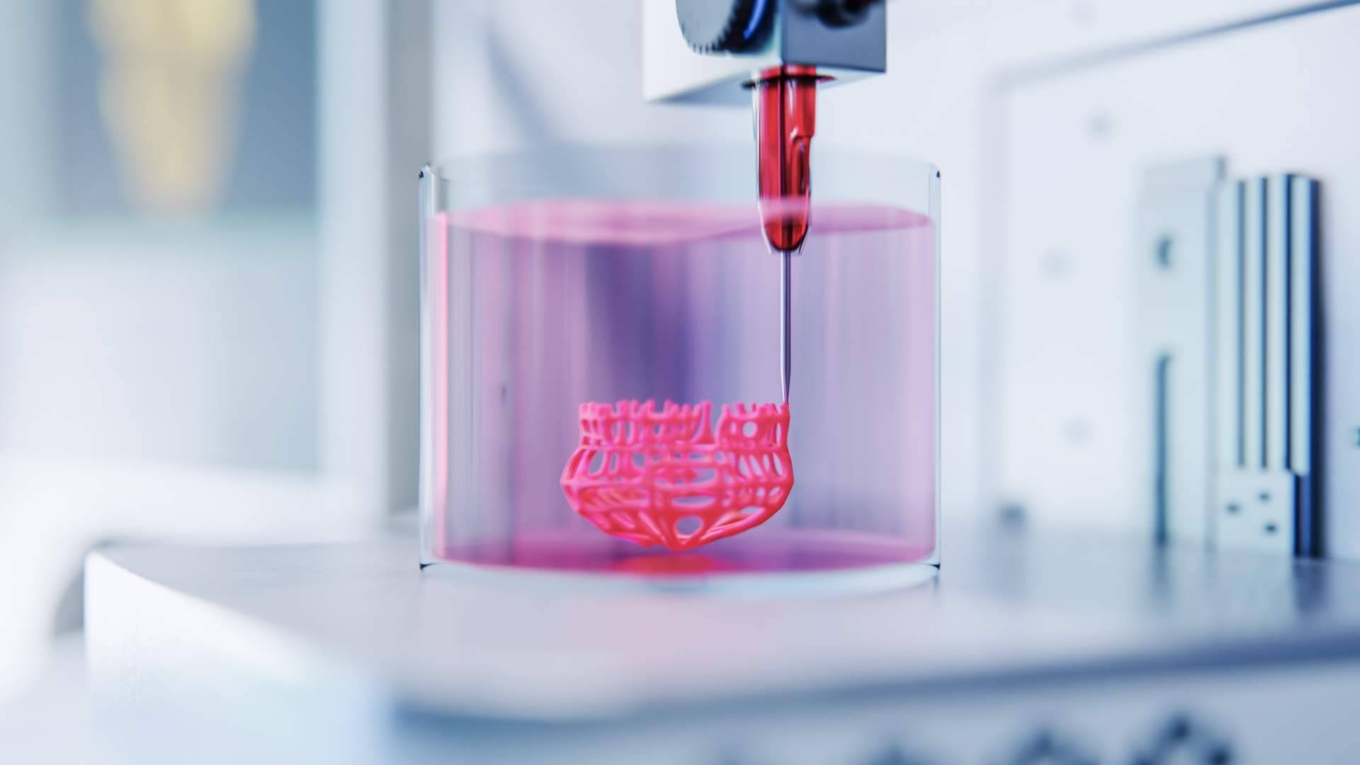 3D Biotech desarrolla soluciones de bioimpresión 3D para aplicaciones médicas y regeneración de tejidos